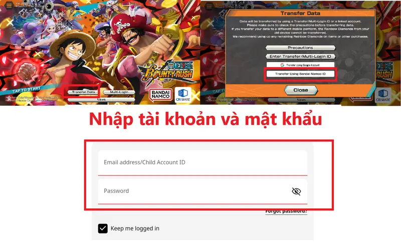 Hướng dẫn đăng nhập